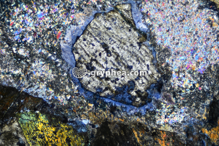 Glaucophane LPA x7 - gryphea.com